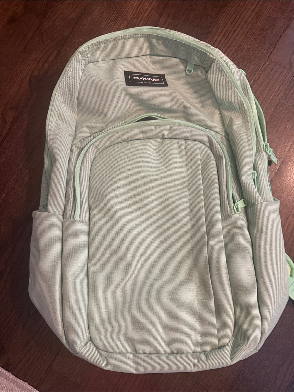 Dakine Backpack in Mint Green